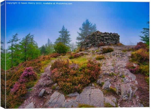 The King's Seat, Birnam Hill  Canvas Print by Navin Mistry