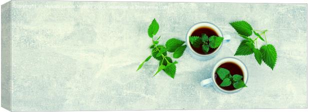 Herbal tea, healing drink, space for text Canvas Print by Mykola Lunov Mykola