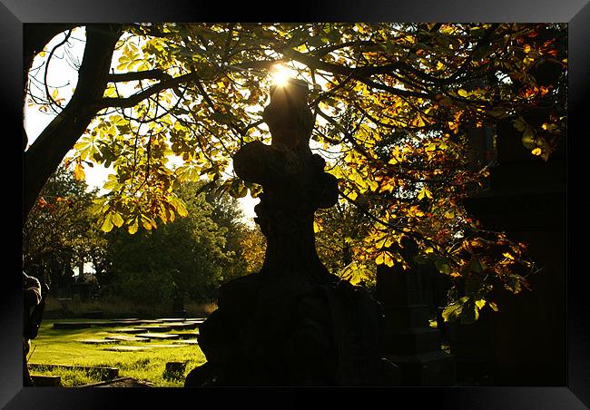 Under the sun Framed Print by Maria Tzamtzi Photography