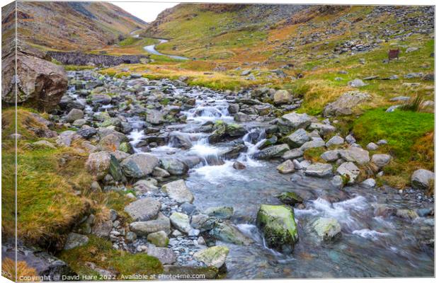 Honnister Pass Canvas Print by David Hare