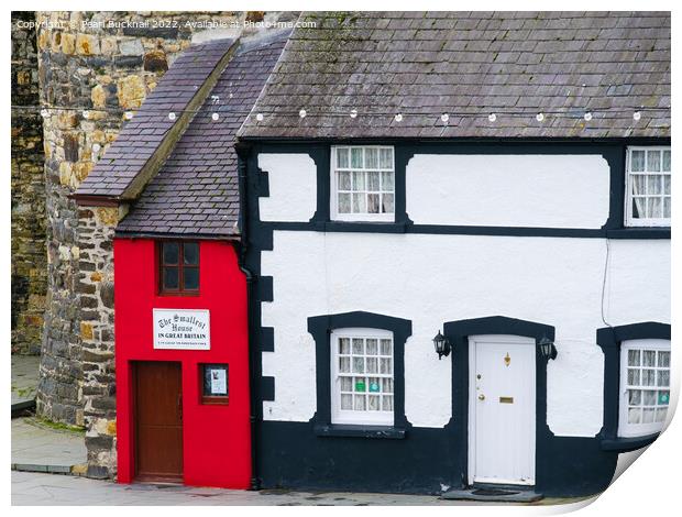 Smallest House Conwy Quay Print by Pearl Bucknall