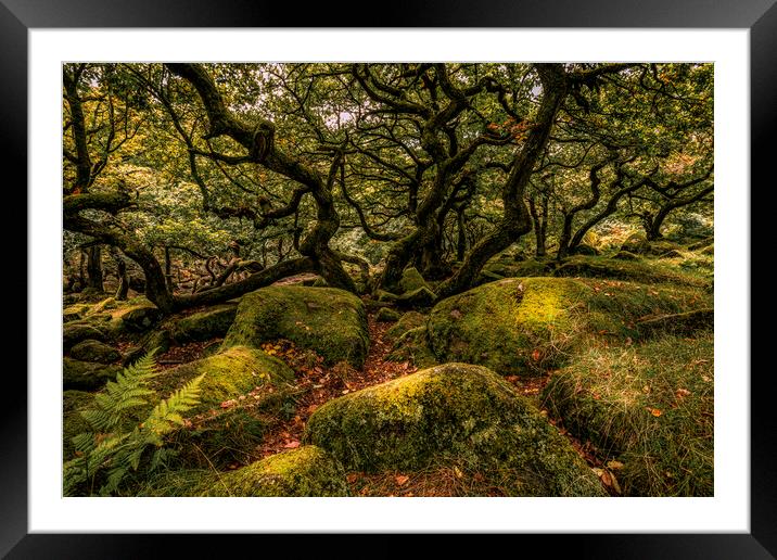 Enchanting Padley Gorge in Autumn Framed Mounted Print by Pam Sargeant