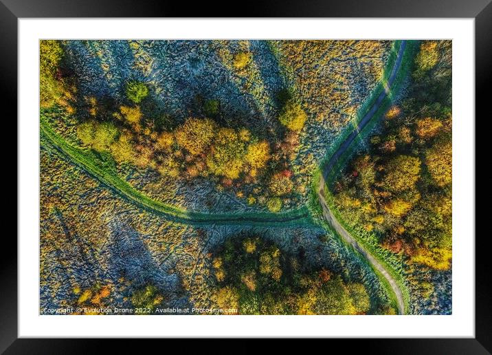 Plant tree Framed Mounted Print by Evolution Drone