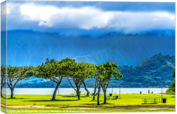 Colorful Trees Ocean Green Mountain Kualoa Regional Park North S Canvas Print by William Perry