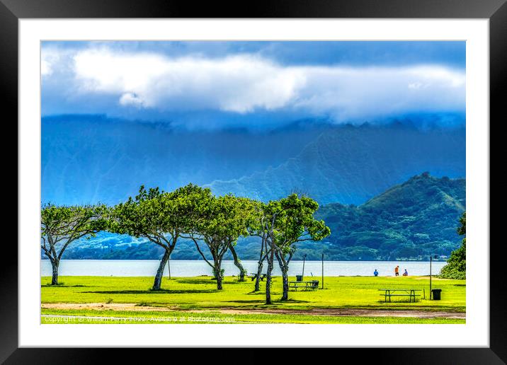 Colorful Trees Ocean Green Mountain Kualoa Regional Park North S Framed Mounted Print by William Perry