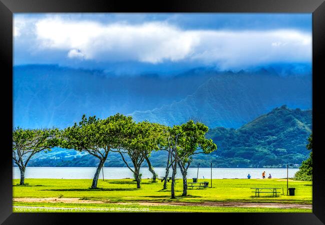 Colorful Trees Ocean Green Mountain Kualoa Regional Park North S Framed Print by William Perry