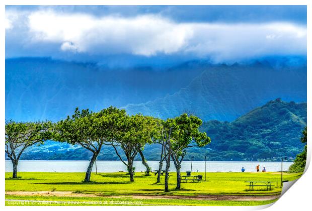 Colorful Trees Ocean Green Mountain Kualoa Regional Park North S Print by William Perry