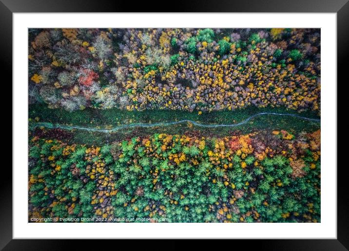 Autumnal Woodland Path Framed Mounted Print by Evolution Drone