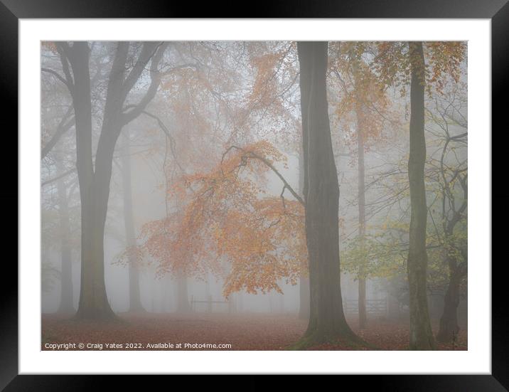 Misty Autumn Woodland Grindleford Peak District Framed Mounted Print by Craig Yates