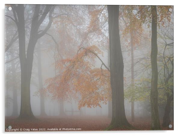 Misty Autumn Woodland Grindleford Peak District Acrylic by Craig Yates