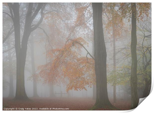 Misty Autumn Woodland Grindleford Peak District Print by Craig Yates
