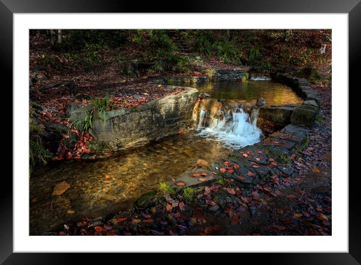 Craig Gwladys Country Park Framed Mounted Print by Leighton Collins