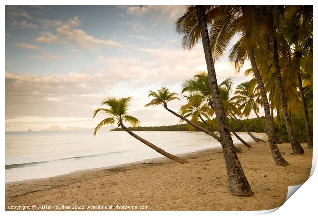 Palm trees, Martinique, Caribbean  Print by Justin Foulkes