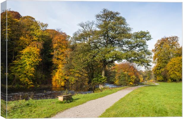 Pathway along the Wharfedale Valley Canvas Print by Jason Wells