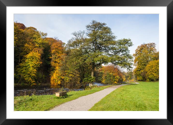 Pathway along the Wharfedale Valley Framed Mounted Print by Jason Wells