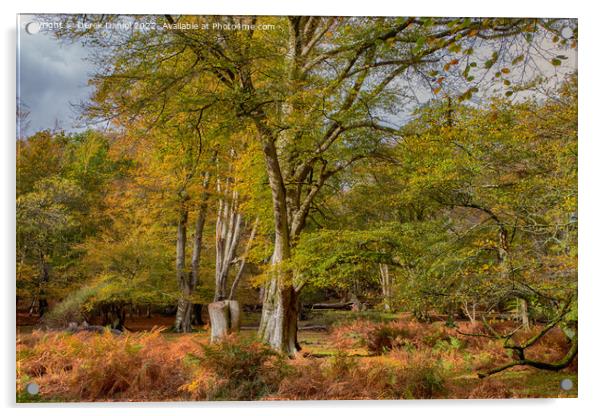 Serene Autumn Woodland Acrylic by Derek Daniel