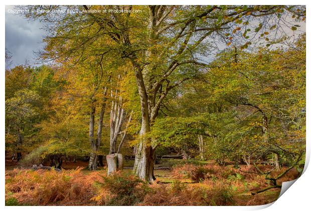 Serene Autumn Woodland Print by Derek Daniel