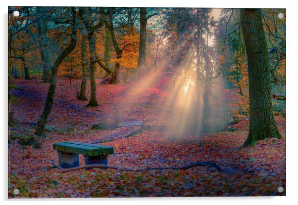 woodland in bury lancashire Acrylic by Derrick Fox Lomax