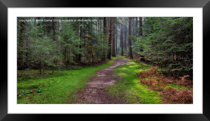 Enchanting Forest Trail Framed Mounted Print by Derek Daniel