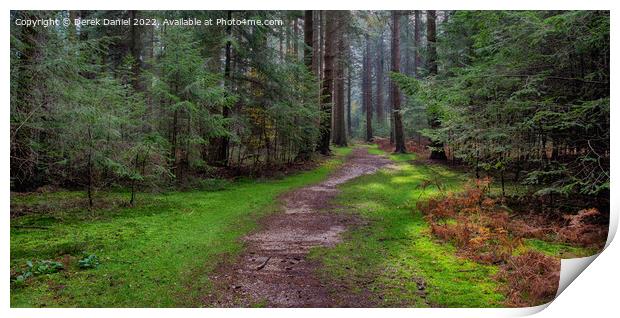 Enchanting Forest Trail Print by Derek Daniel