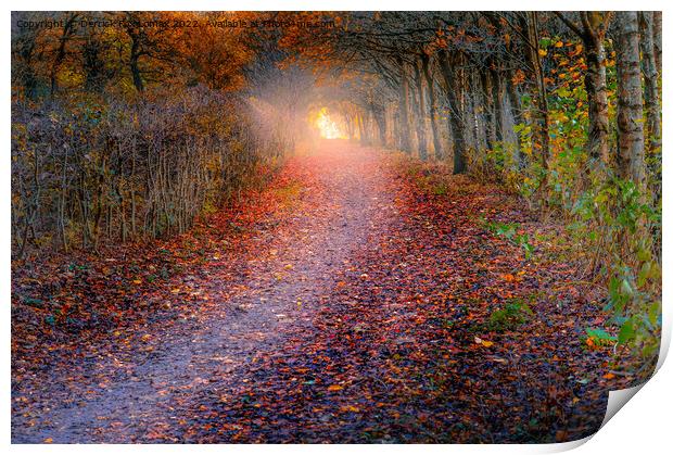 autumn woodland Print by Derrick Fox Lomax