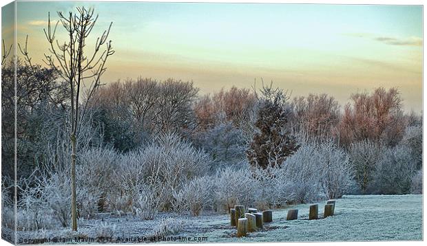 Frosty Early  Morning Canvas Print by Iain Mavin