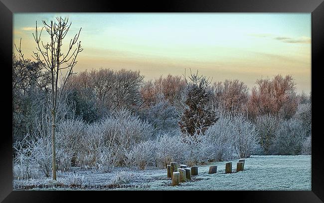 Frosty Early  Morning Framed Print by Iain Mavin