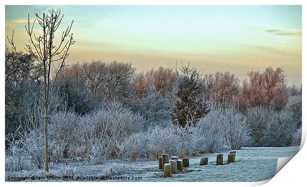 Frosty Early  Morning Print by Iain Mavin