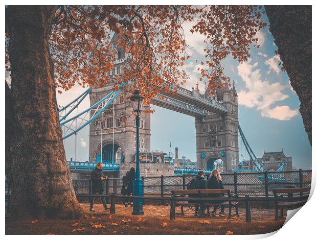 Tower Bridge and the autumn leaves Print by Andrew Scott