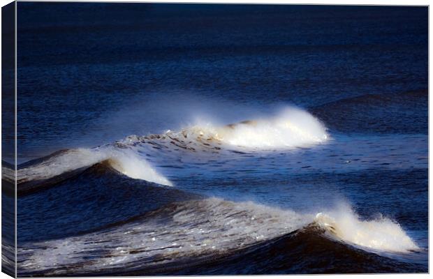 WHITE HORSES  Canvas Print by Andrew chittock