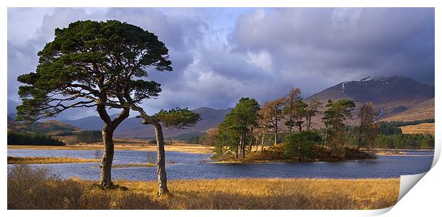 Loch Tulla, Scotland Print by Richard Nicholls