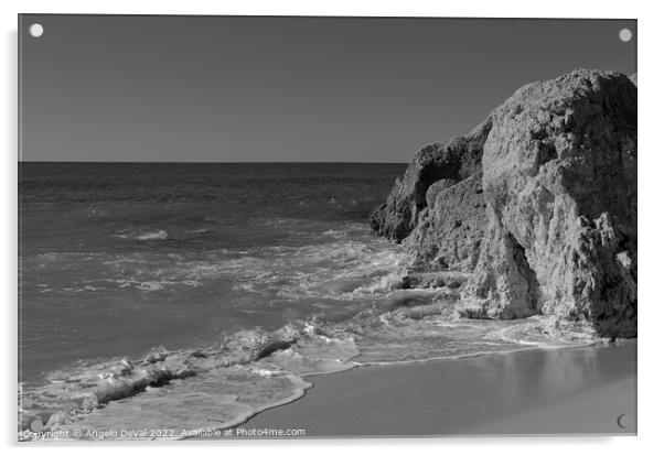 Cliffs and Calm Waves in Gale Beach - Monochrome Acrylic by Angelo DeVal