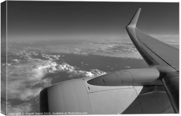 Airplane Wing from Window - Monochrome Canvas Print by Angelo DeVal