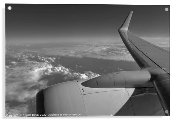 Airplane Wing from Window - Monochrome Acrylic by Angelo DeVal