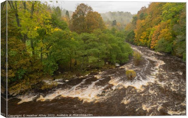 Misty Autumn day at Staward Gorge, Northumberland Canvas Print by Heather Athey