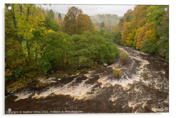 Misty Autumn day at Staward Gorge, Northumberland Acrylic by Heather Athey