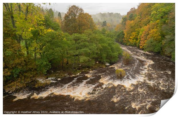 Misty Autumn day at Staward Gorge, Northumberland Print by Heather Athey