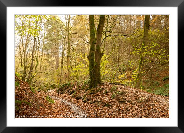 Haltwhistle Burn in Autumn Framed Mounted Print by Heather Athey