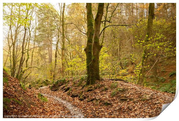 Haltwhistle Burn in Autumn Print by Heather Athey