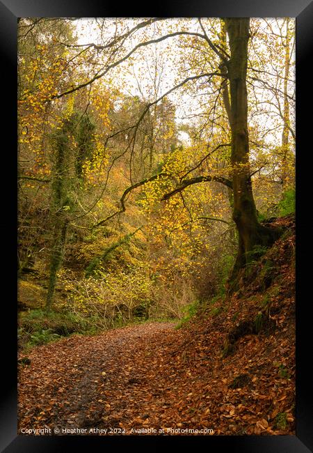 Haltwhistle Burn in Autumn Framed Print by Heather Athey