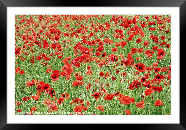 Field of Poppies Framed Mounted Print by Natalie Kinnear