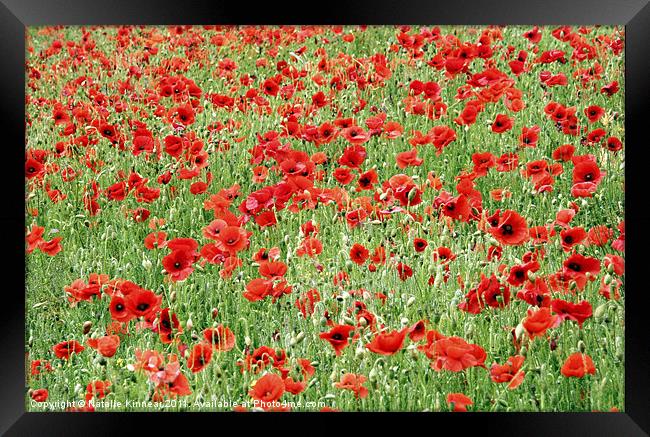 Field of Poppies Framed Print by Natalie Kinnear