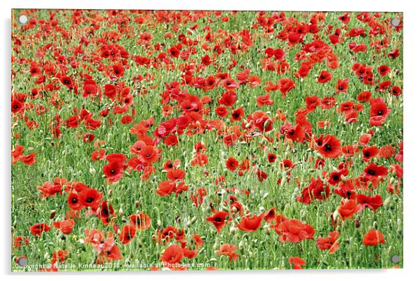 Field of Poppies Acrylic by Natalie Kinnear