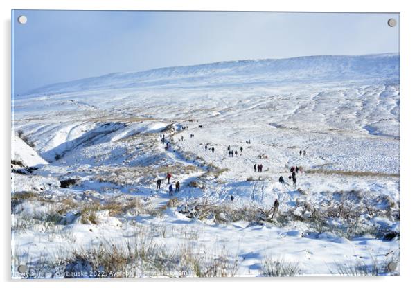 Walking up Pen Y Fan in the snow, Brecon Beacons Acrylic by  Garbauske