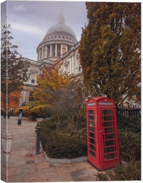 St Paul's Cathedral London Canvas Print by Andrew Scott