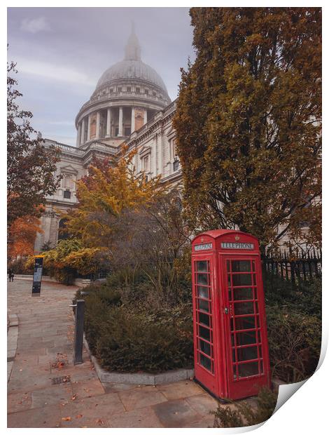 St Paul's Cathedral London Print by Andrew Scott