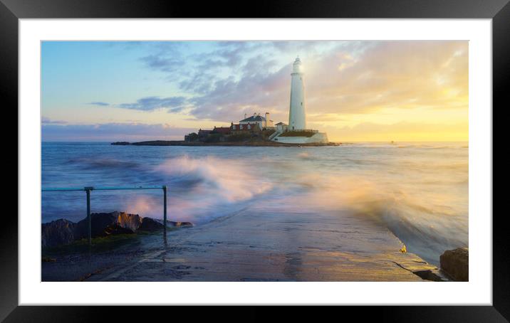 A golden sunrise at St Marys Lighthouse  Framed Mounted Print by Anthony McGeever