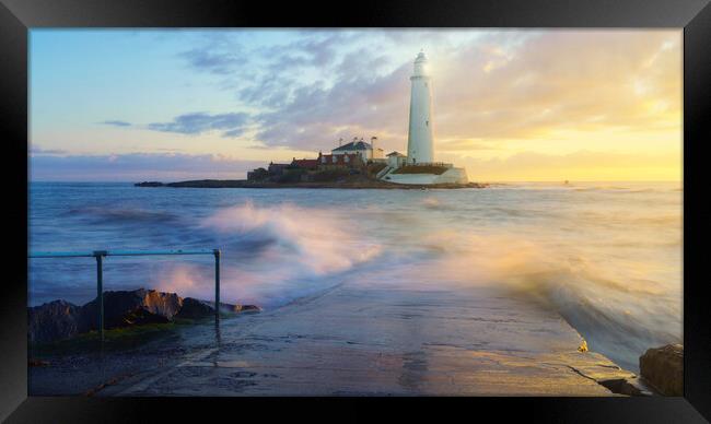 A golden sunrise at St Marys Lighthouse  Framed Print by Anthony McGeever