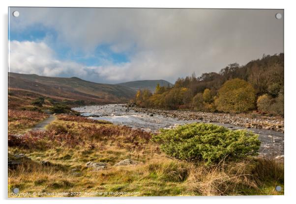 Towards Blea Beck on the Pennine Way Acrylic by Richard Laidler