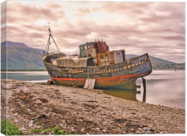 Wreck of Trawler Canvas Print by chris hyde